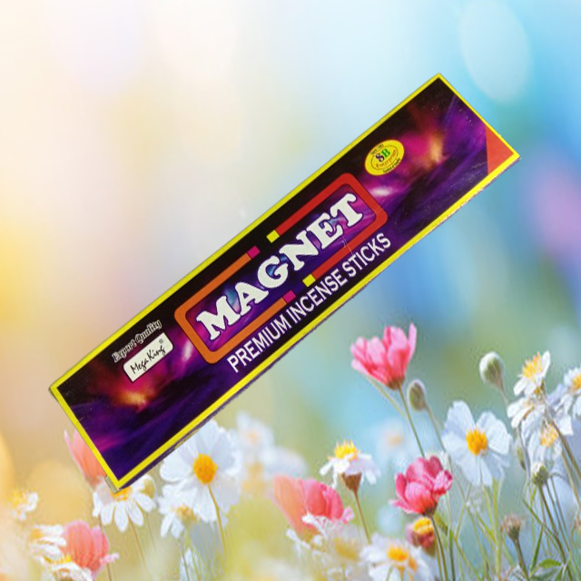 SB ENTERPRISES MAGNET PREMIUM INCENSE STICKS (REGULAR) 18 G